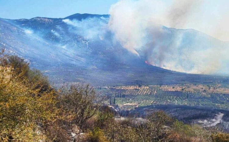  Ο Πρόεδρος των «ΣΠΑΡΤΙΑΤΩΝ» στις φωτιές της Βοιωτίας: «Τεράστια οικολογική καταστροφή. Βαρύς ο απολογισμός της πύρινης λαίλαπας»