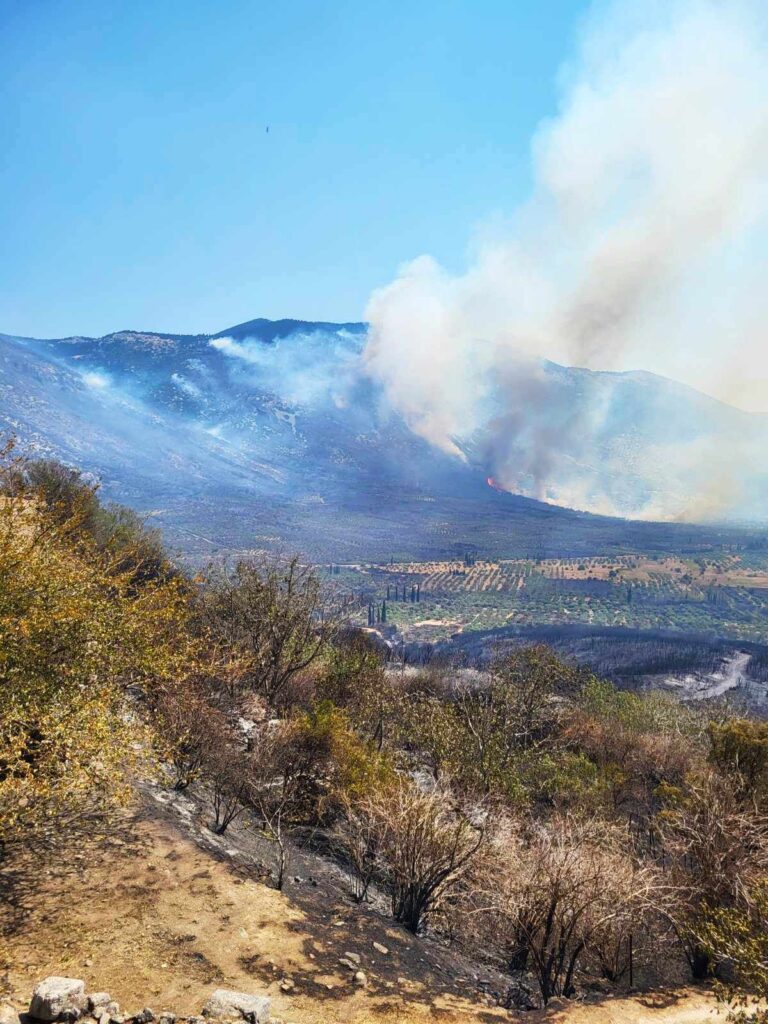 Ο Πρόεδρος των «ΣΠΑΡΤΙΑΤΩΝ» στις φωτιές της Βοιωτίας: «Τεράστια οικολογική καταστροφή. Βαρύς ο απολογισμός της πύρινης λαίλαπας»