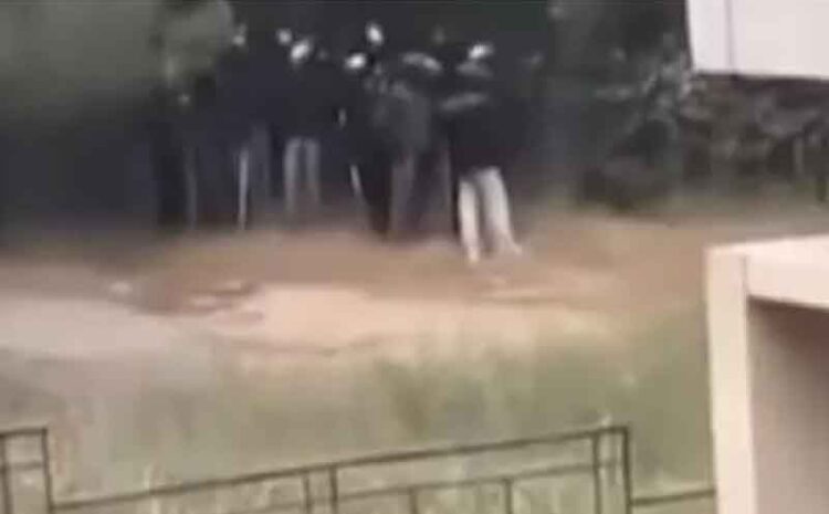 Διαχρονική ασυδοσία στα Ελληνικά Πανεπιστήμια